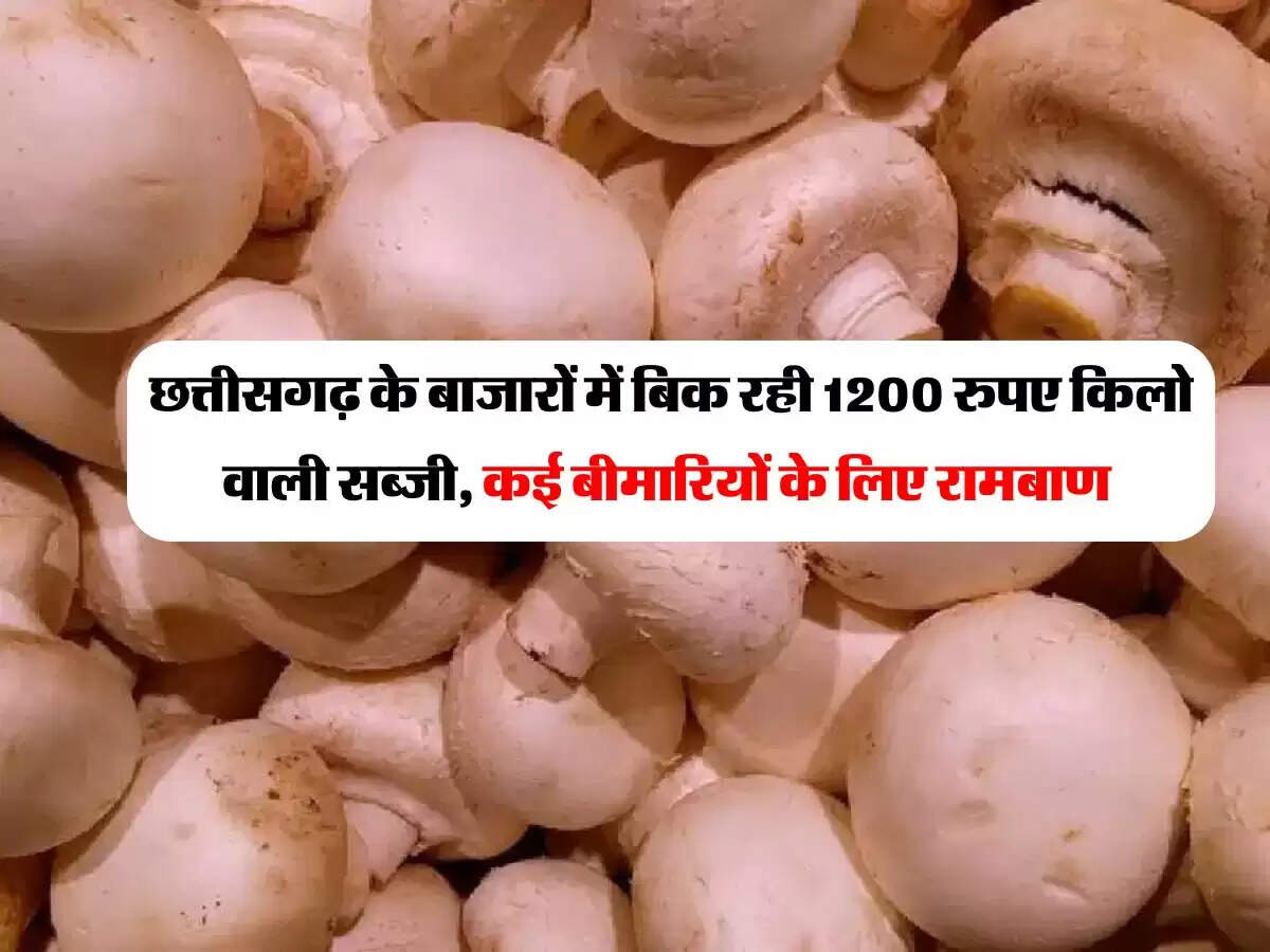 छत्तीसगढ़ के बाजारों में बिक रही 1200 रुपए किलो वाली सब्जी, कई बीमारियों के लिए रामबाण