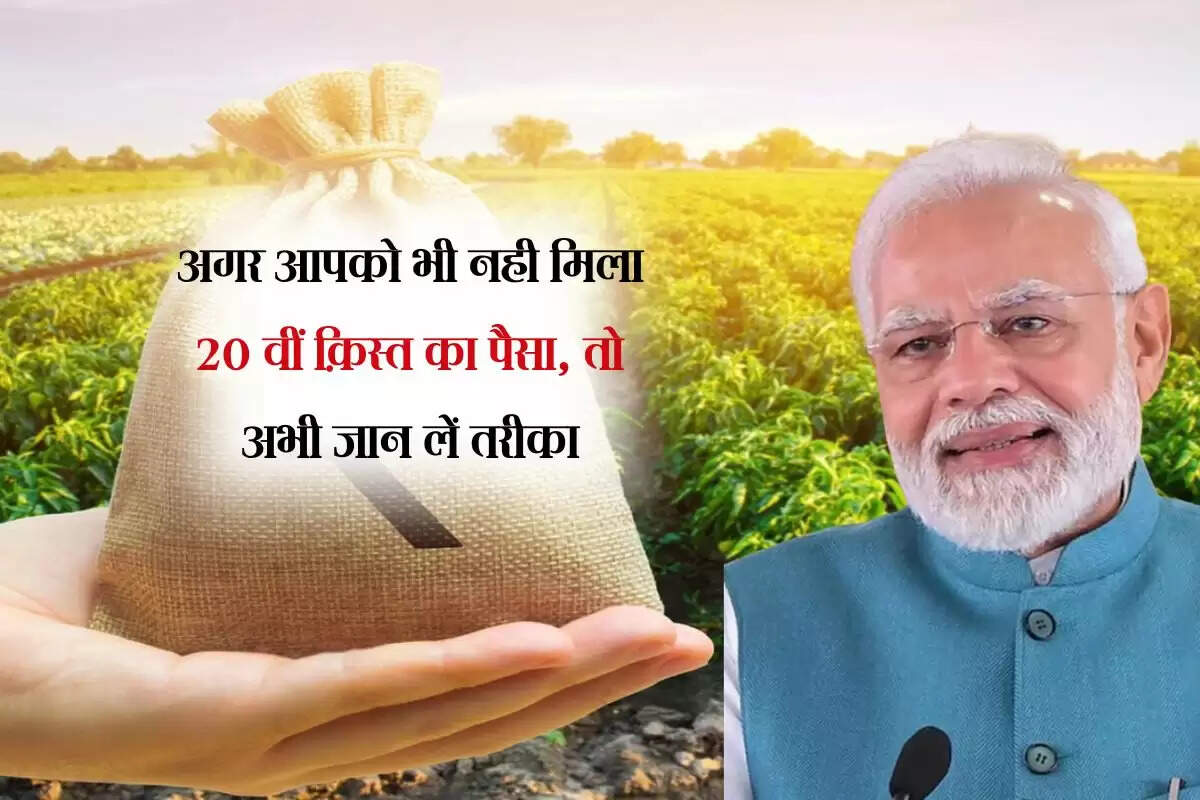 PM Kisan Yojana: अगर आपको भी नही मिला 20 वीं क़िस्त का पैसा, तो अभी जान लें तरीका
