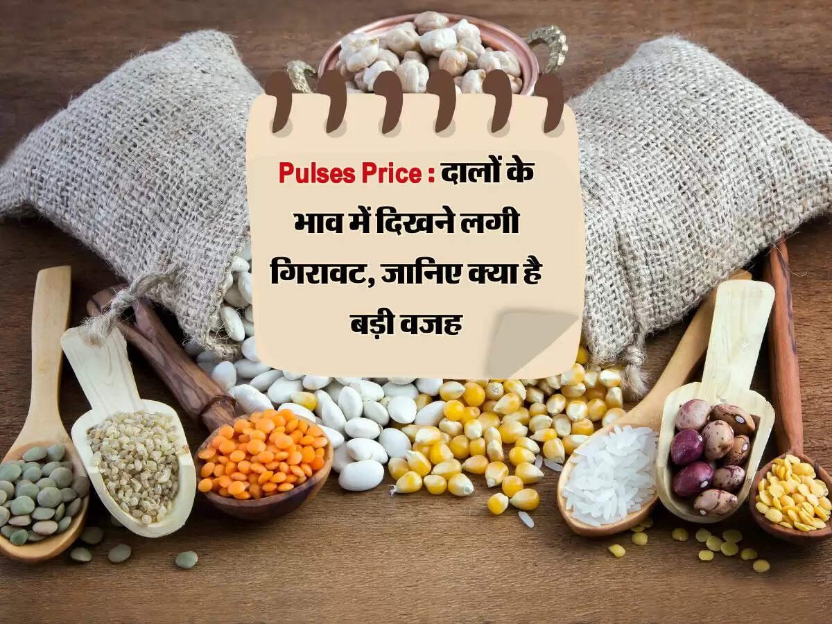 Pulses Price : दालों के भाव में दिखने लगी गिरावट, जानिए क्या है बड़ी वजह