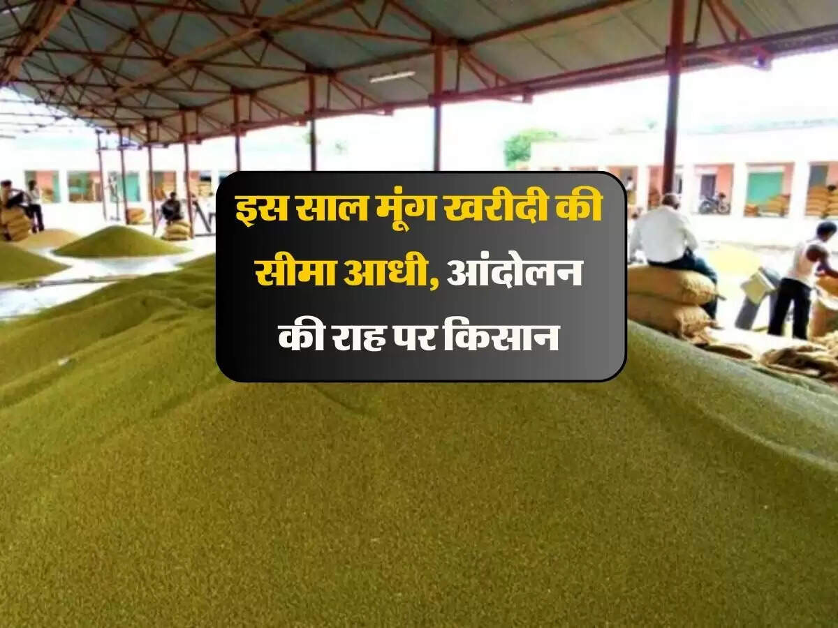 इस साल मूंग खरीदी की सीमा आधी, आंदोलन की राह पर किसान