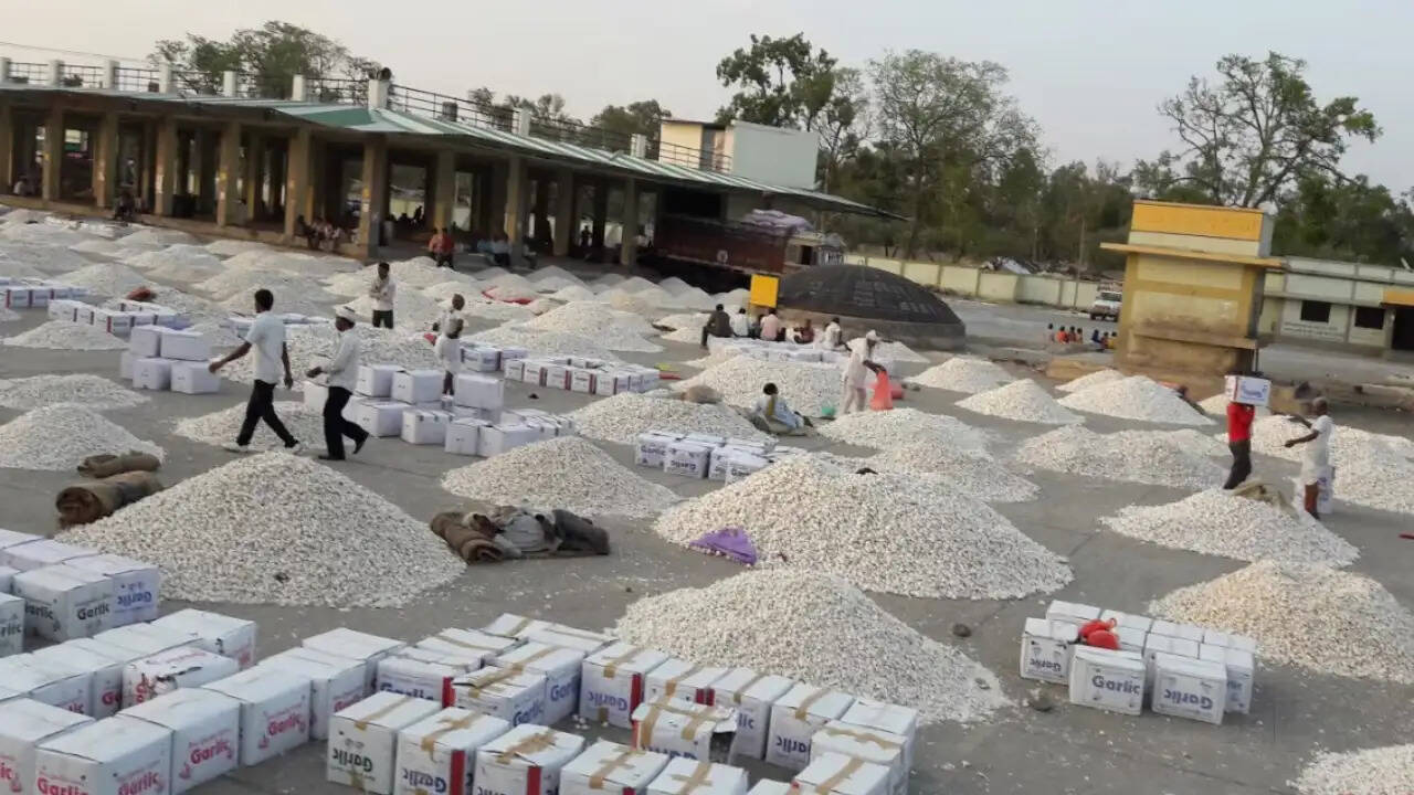 नीमच मंडी भाव: सोयाबीन, इसबगोल, उड़द, चना मंदे, डॉलर चना 100 रुपए टूटा