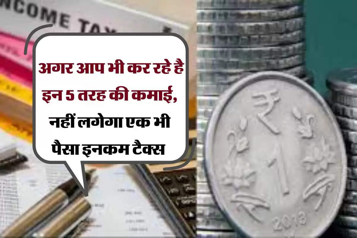 Income Tax : अगर आप भी कर रहे है इन 5 तरह की कमाई, नहीं लगेगा एक भी पैसा इनकम टैक्स