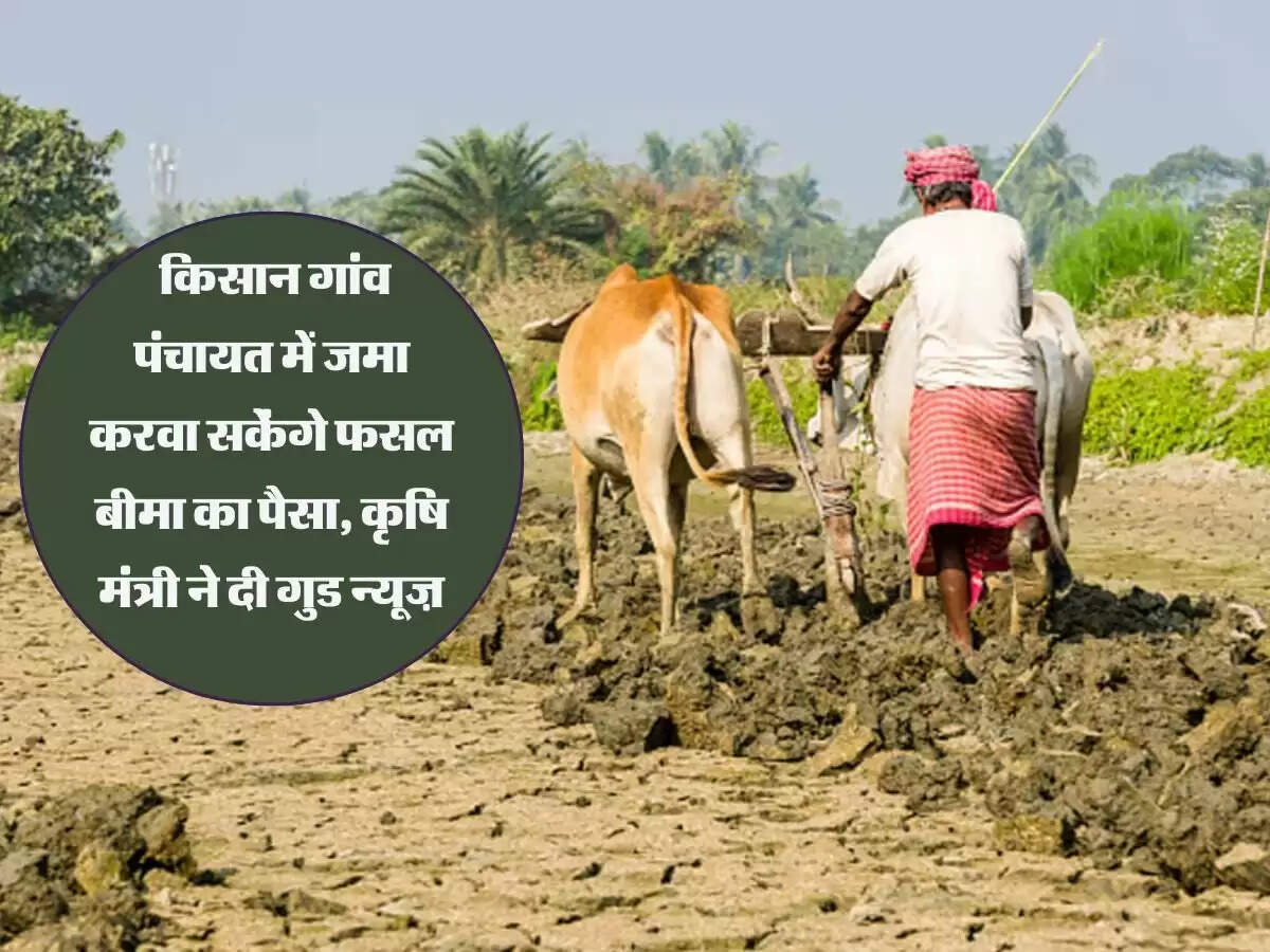 Crop Insurance: किसान गांव पंचायत में जमा करवा सकेंगे फसल बीमा का पैसा, कृषि मंत्री ने दी गुड न्यूज़