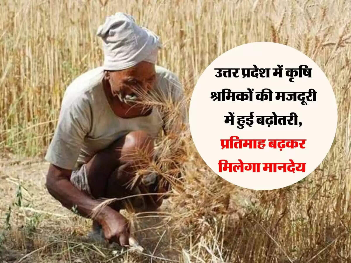 उत्तर प्रदेश में कृषि श्रमिकों की मजदूरी में हुई बढ़ोतरी, प्रतिमाह बढ़कर मिलेगा मानदेय
