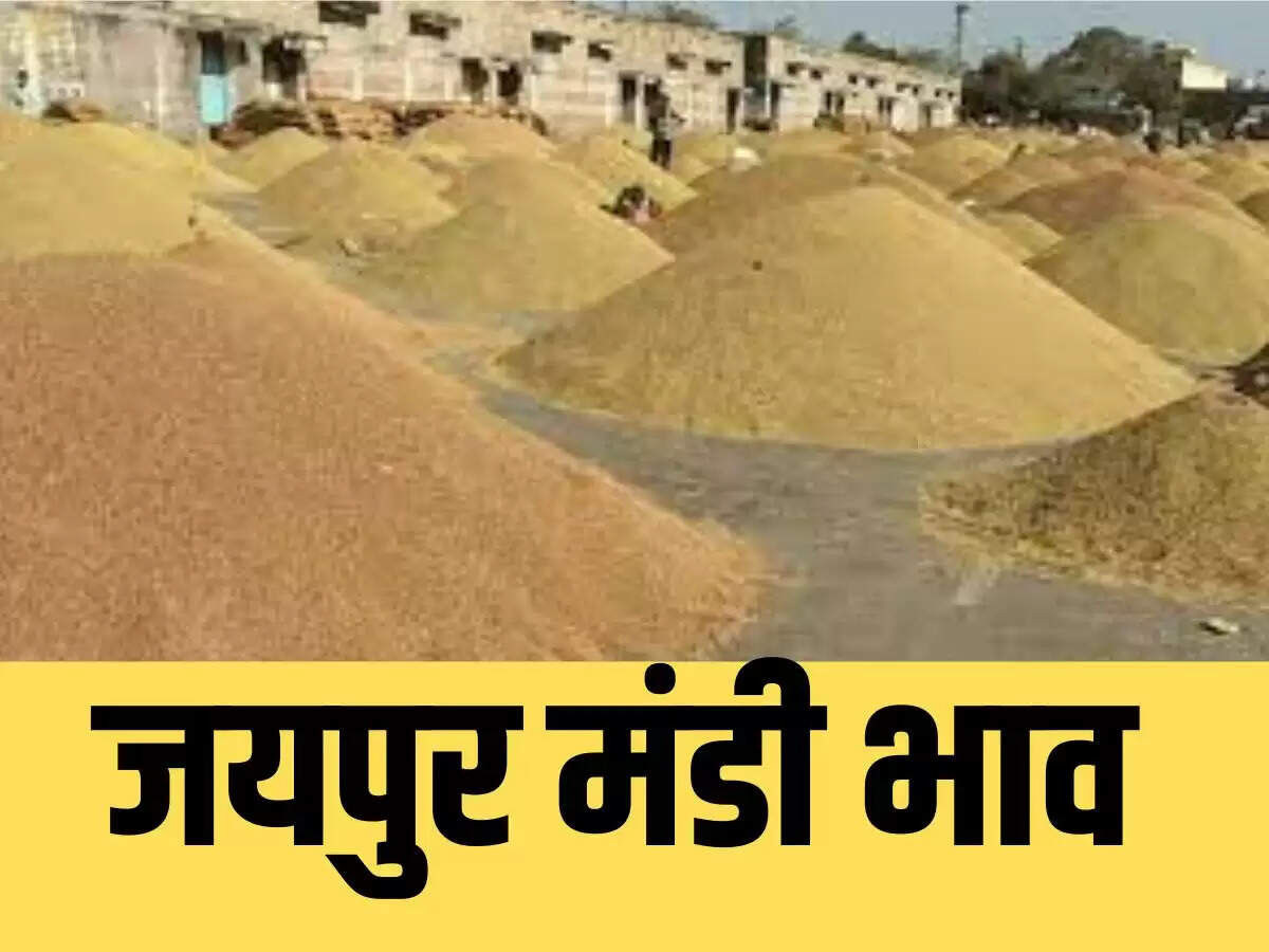 जयपुर मंडी भाव
