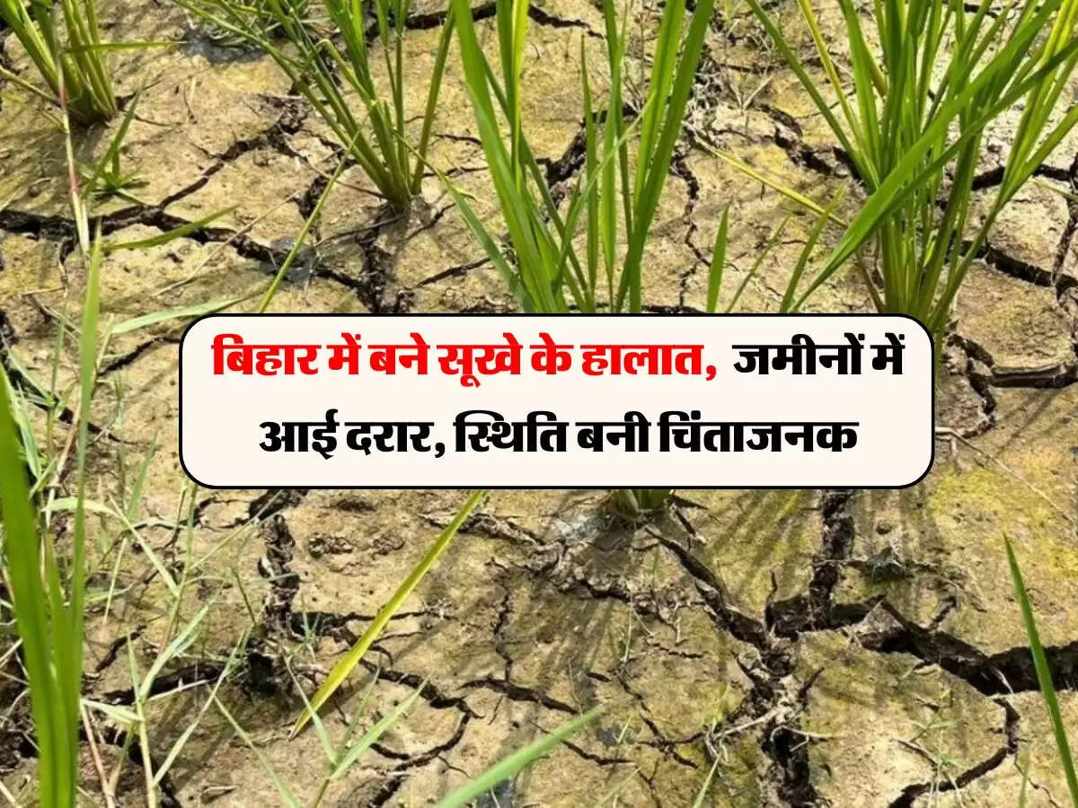 बिहार में बने सूखे के हालात, जमीनों में आई दरार, स्थिति बनी चिंताजनक