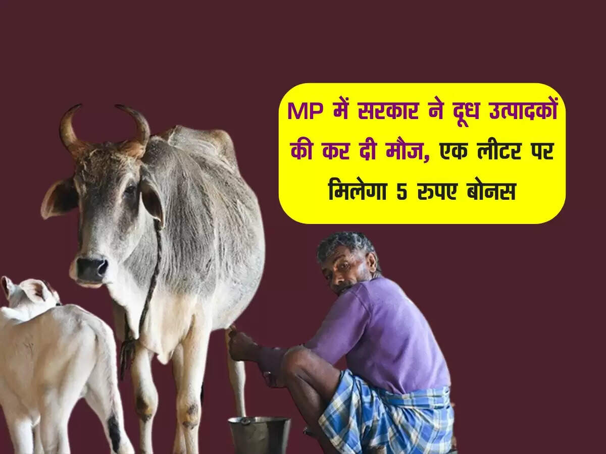 MP में सरकार ने दूध उत्पादकों की कर दी मौज, एक लीटर पर मिलेगा 5 रुपए बोनस