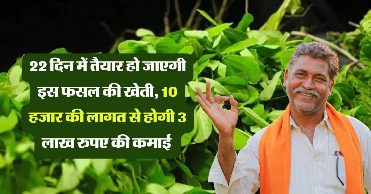 22 दिन में तैयार हो जाएगी इस फसल की खेती, 10 हजार की लागत से होगी 3 लाख रुपए की कमाई