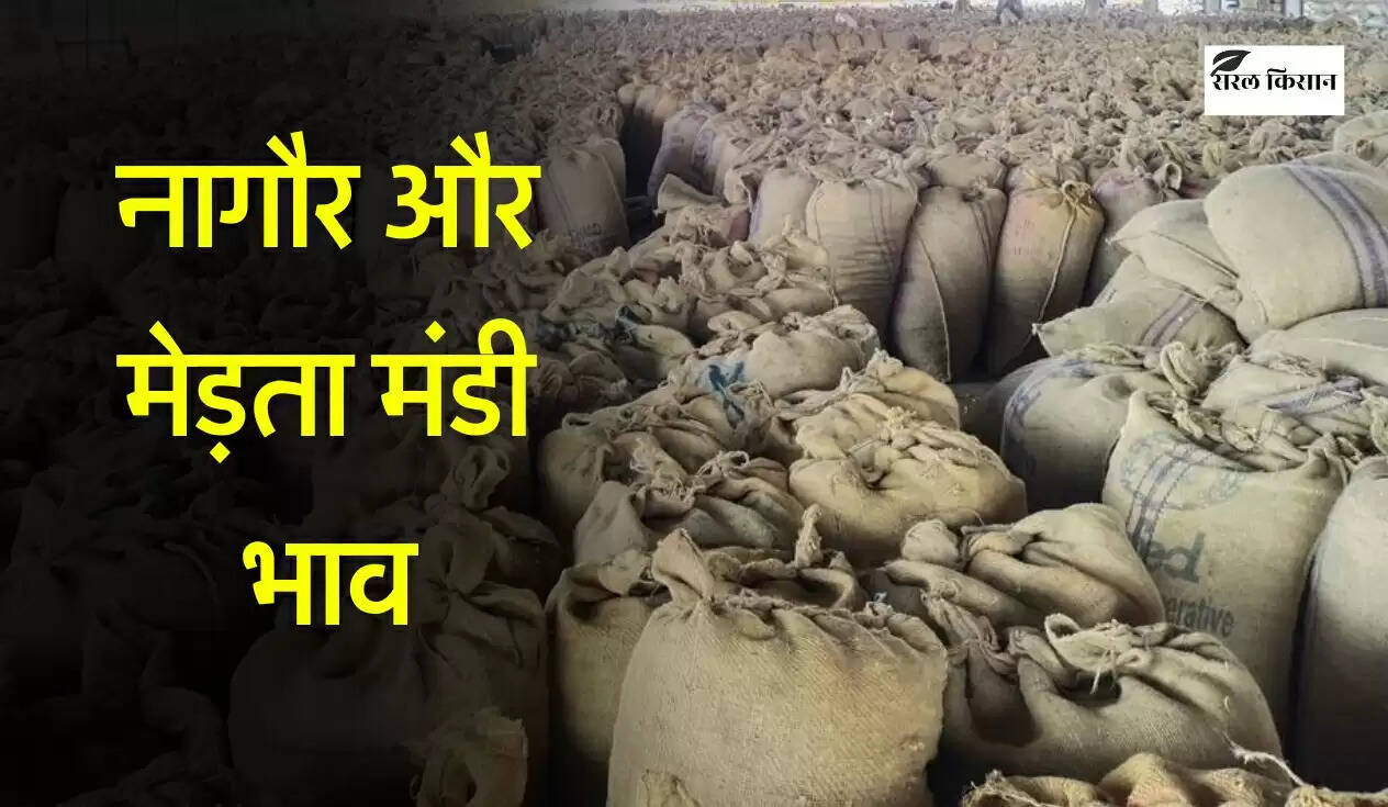 नागौर और मेड़ता मंडी भाव: ग्वार, मुंग और चना में थोड़ी तेजी, जानिए 1 जनवरी 2026 के भाव