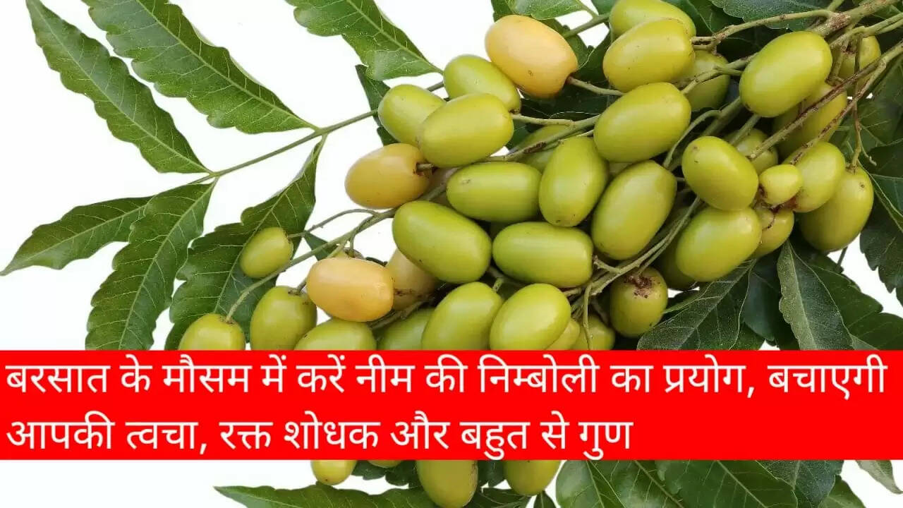 neem fruit