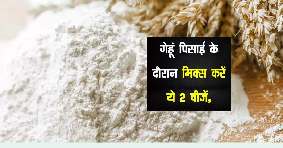 गेहूं पिसाई के दौरान मिक्स करें ये 2 चीजें, रोटी का बढ़ जाएगा स्वाद
