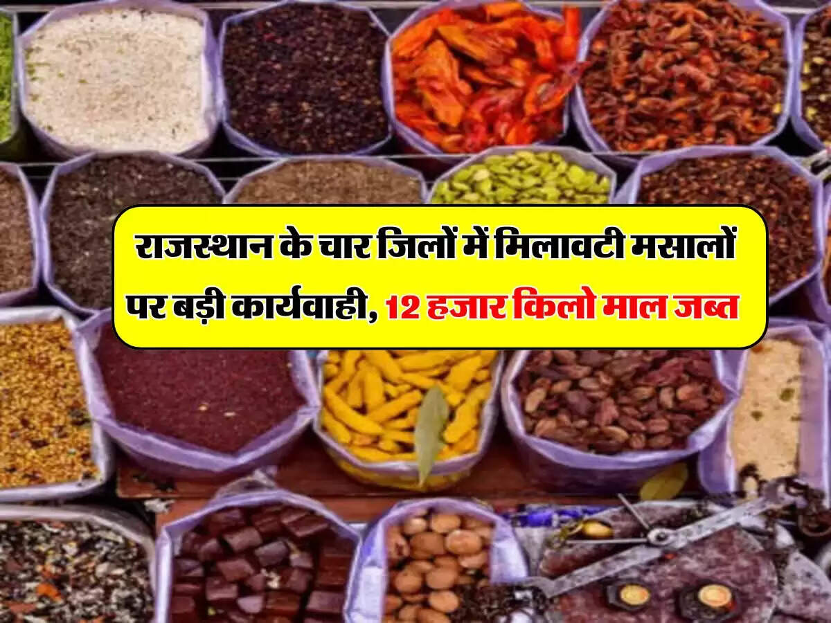 राजस्थान के चार जिलों में मिलावटी मसालों पर बड़ी कार्यवाही, 12 हजार किलो माल जब्त