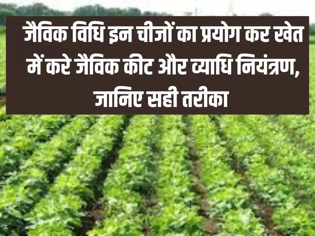 जैविक विधि इन चीजों का प्रयोग कर खेत में करे जैविक कीट और व्याधि नियंत्रण, जानिए सही तरीका&nbsp;