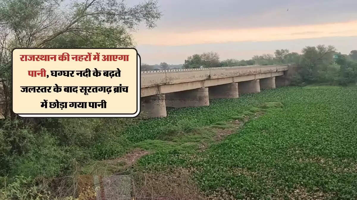 राजस्थान की नहरों में आएगा पानी, घग्घर नदी के बढ़ते जलस्तर के बाद सूरतगढ़ ब्रांच में छोड़ा गया पानी