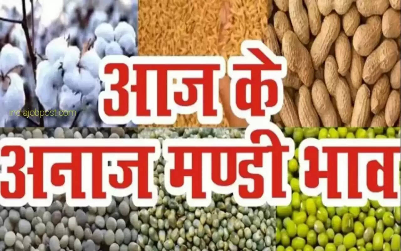 mandi bhav today