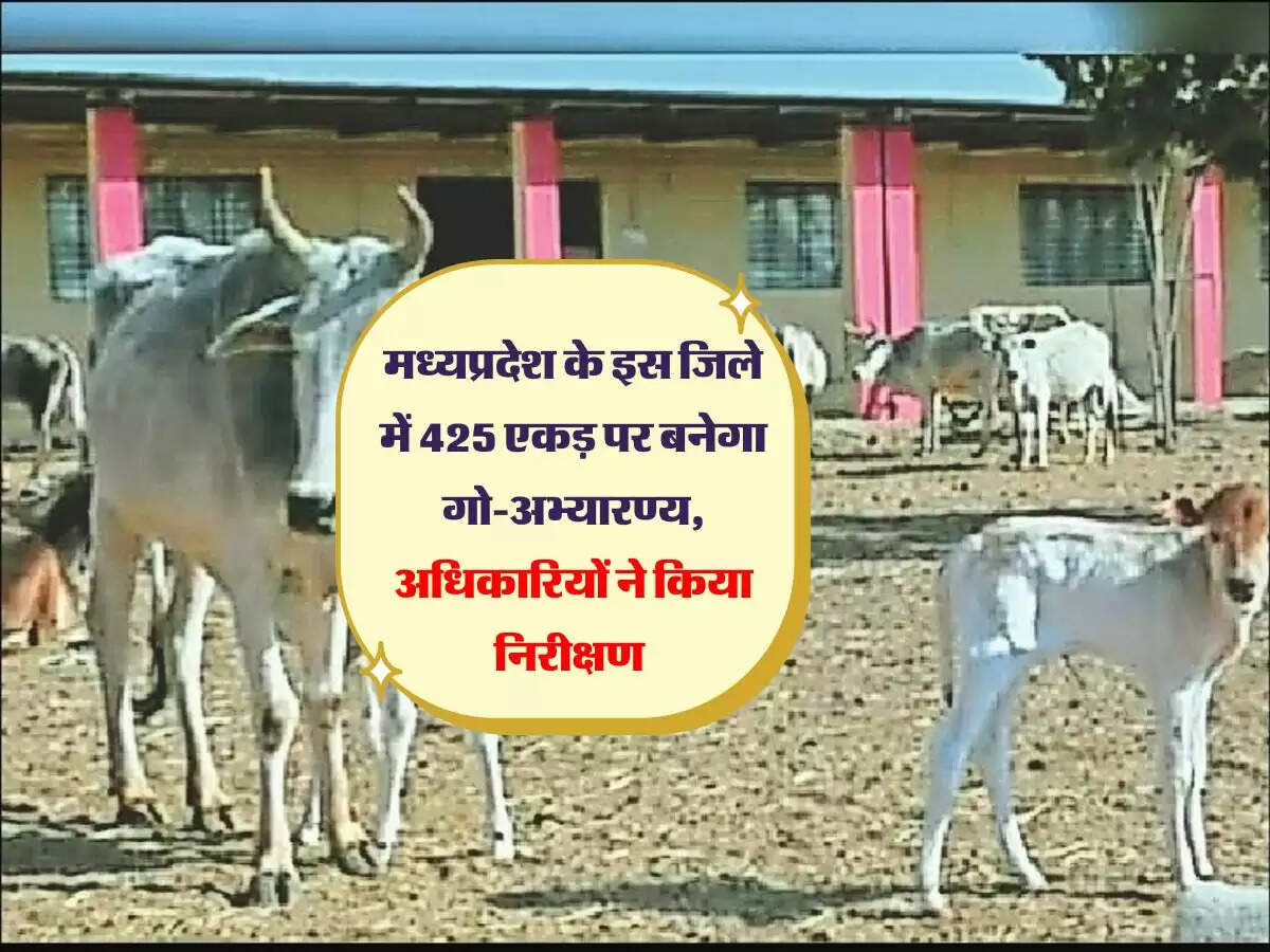 मध्यप्रदेश के इस जिले में 425 एकड़ पर बनेगा गो-अभ्यारण्य, अधिकारियों ने किया निरीक्षण 