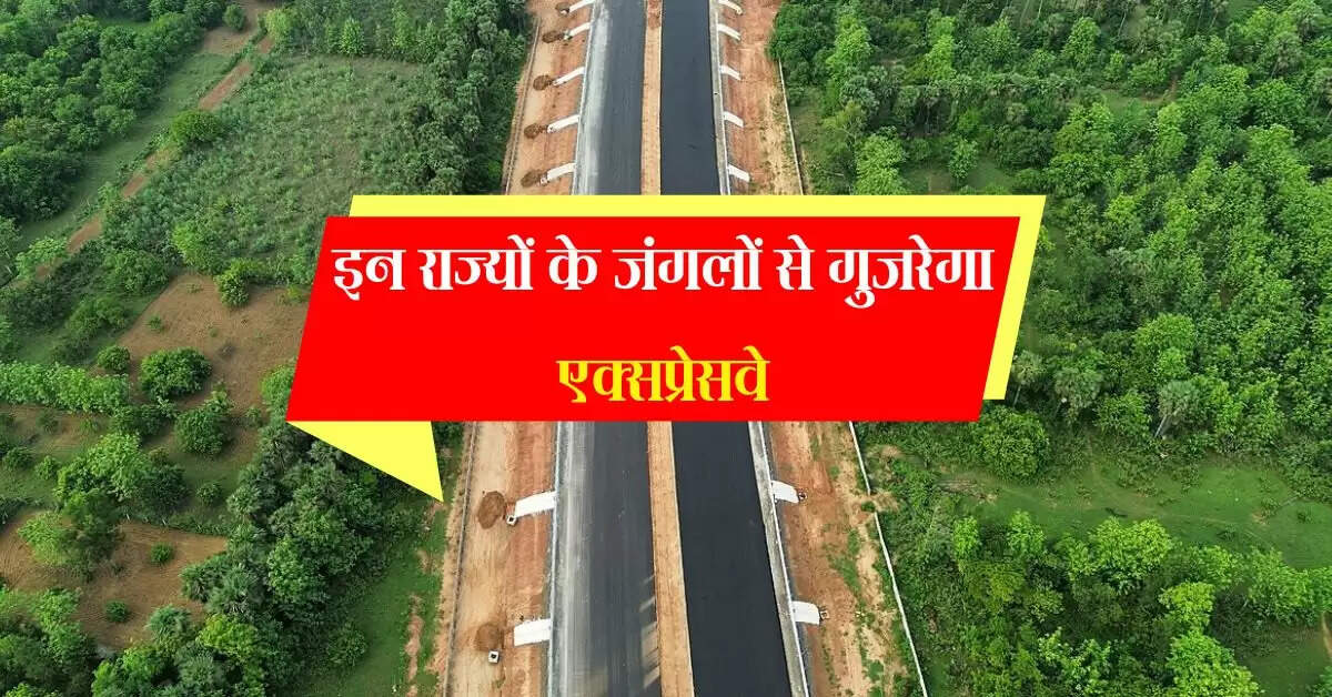 Expressway: इन राज्यों के जंगलों से गुजरेगा एक्सप्रेसवे, 7 घंटे बचेगा सफर का समय