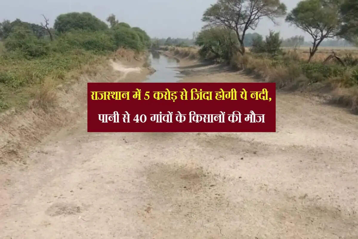 राजस्थान में 5 करोड़ से जिंदा होगी ये नदी, पानी से 40 गांवों के किसानों की मौज