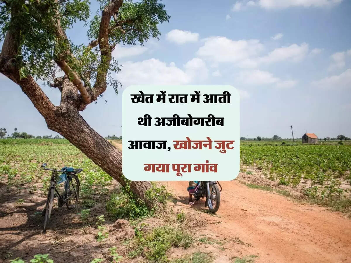 खेत में रात में आती थी अजीबोगरीब आवाज, खोजने जुट गया पूरा गांव, फिर जो मिला हैरान क़र देगा