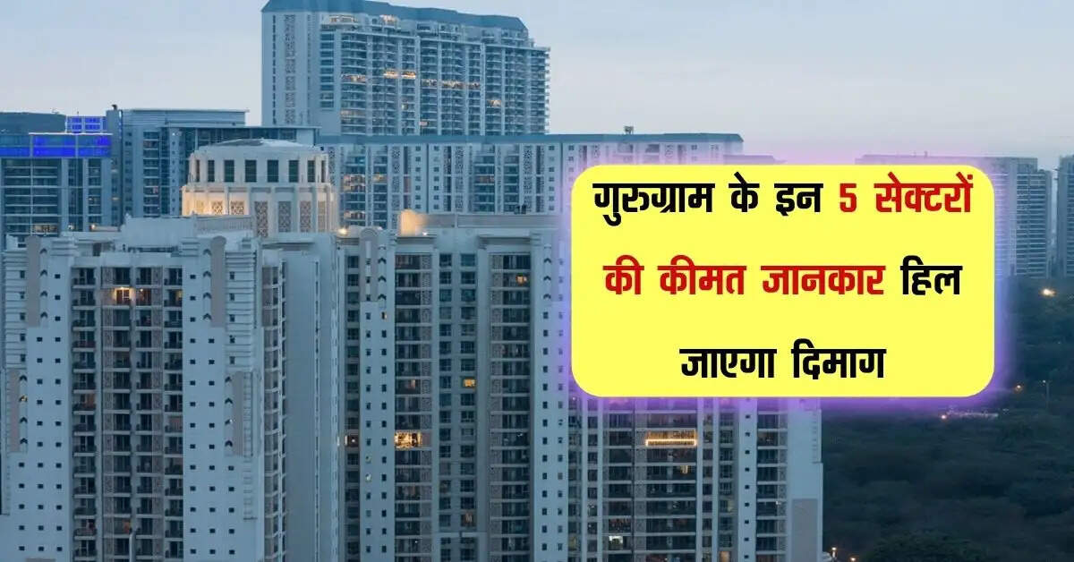 Property News: गुरुग्राम के इन 5 सेक्टरों की कीमत जानकार हिल जाएगा दिमाग, एक फ्लैट में आएगा अच्छा खासा खर्च