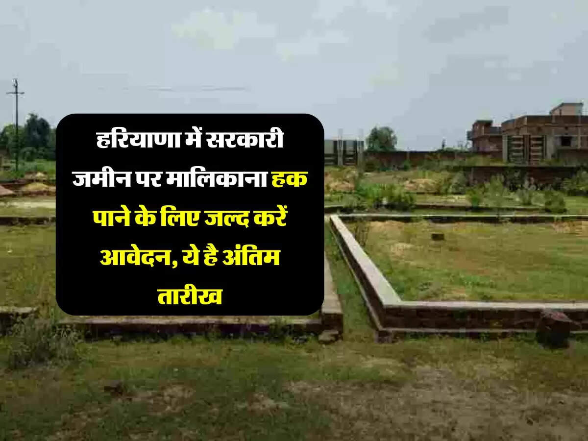 हरियाणा में सरकारी जमीन पर मालिकाना हक पाने के लिए जल्द करें आवेदन, ये है अंतिम तारीख