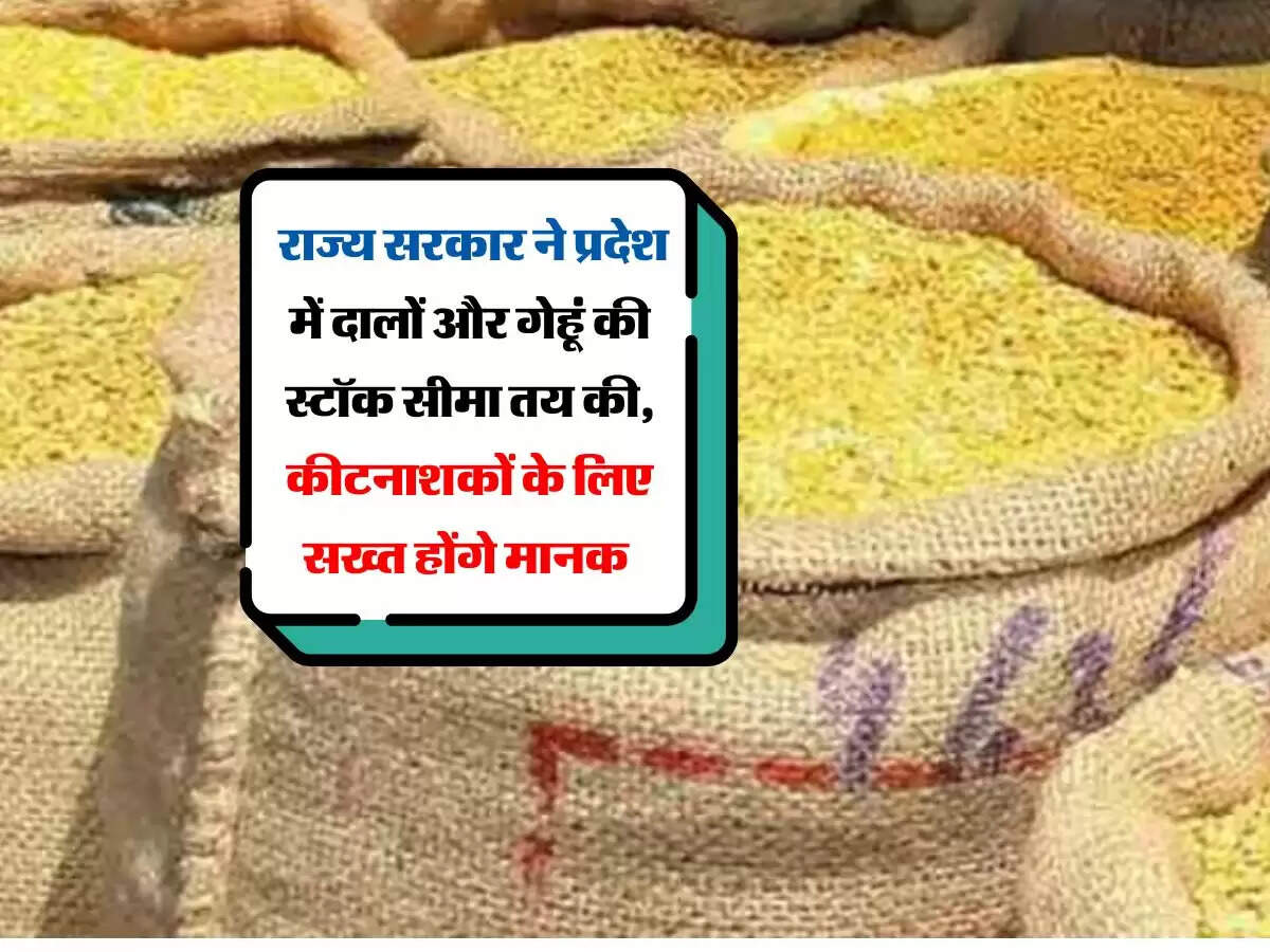 Rajasthan : राज्य सरकार ने प्रदेश में दालों और गेहूं की स्टॉक सीमा तय की, कीटनाशकों के लिए सख्त होंगे मानक