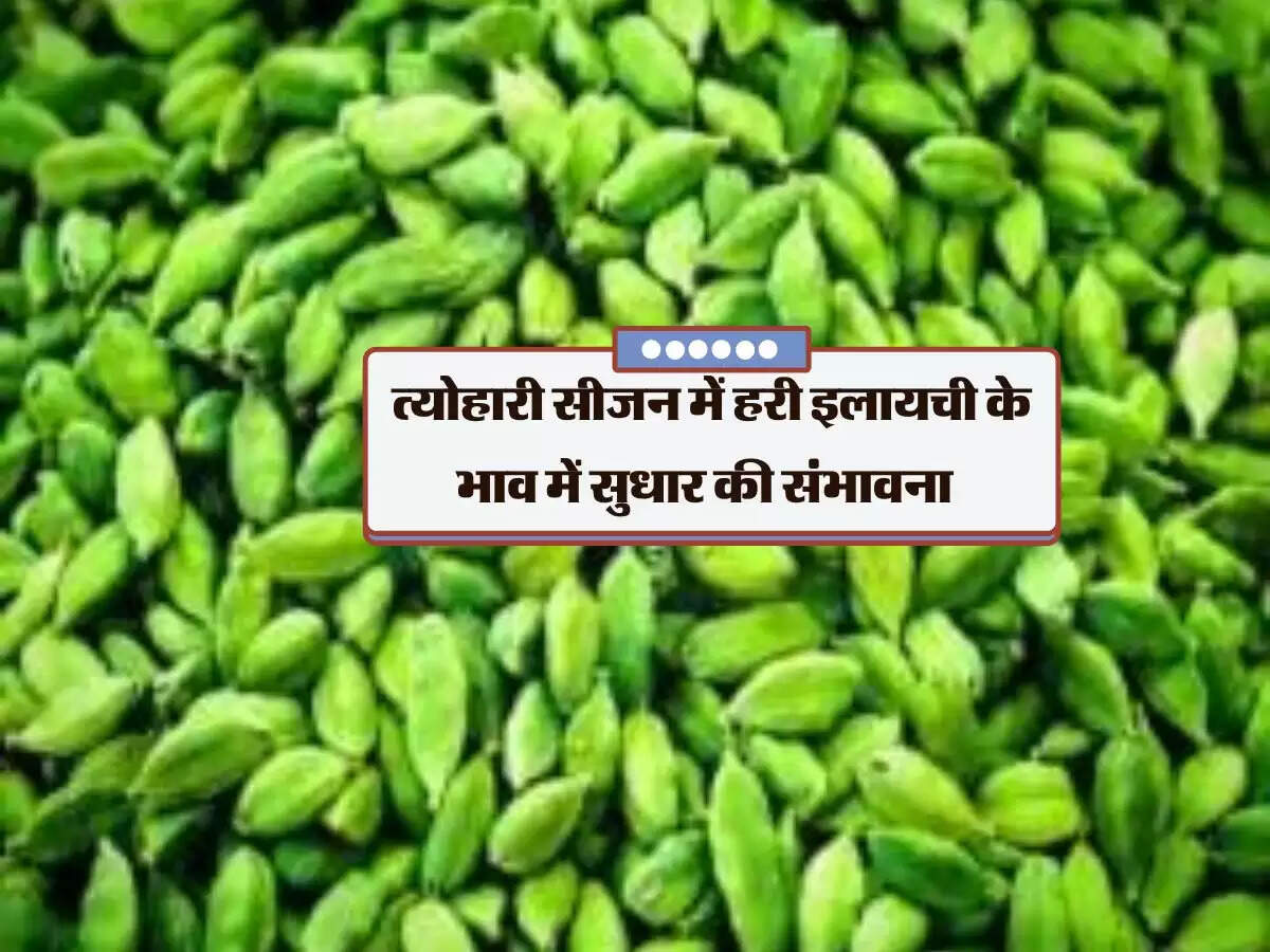 त्योहारी सीजन में हरी इलायची के भाव में सुधार की संभावना