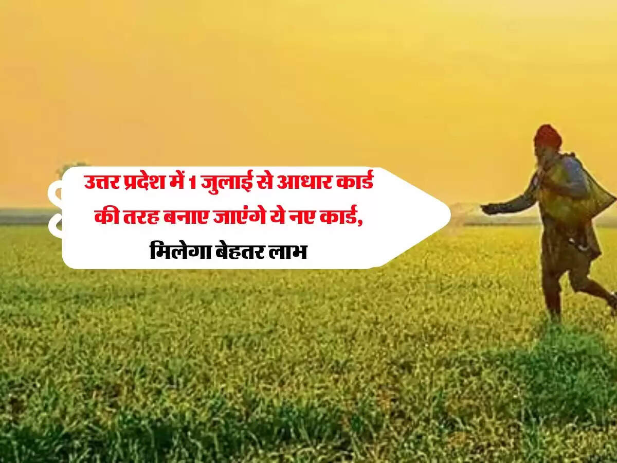 उत्तर प्रदेश में 1 जुलाई से आधार कार्ड की तरह बनाए जाएंगे ये नए कार्ड, मिलेगा बेहतर लाभ