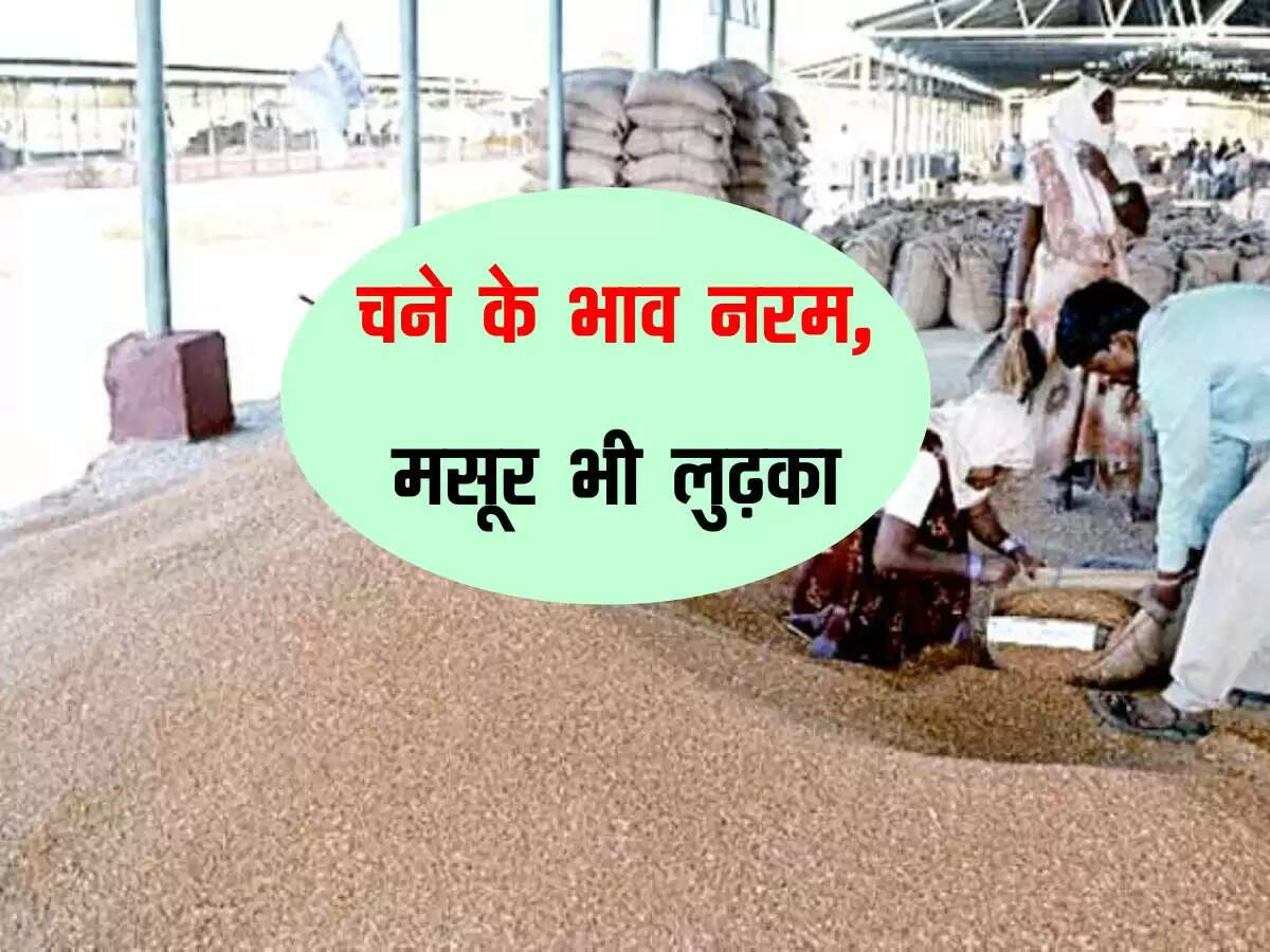 स्टॉक लिमिट और पैसे की कमी से चने के भाव नरम, मसूर भी लुढ़का
