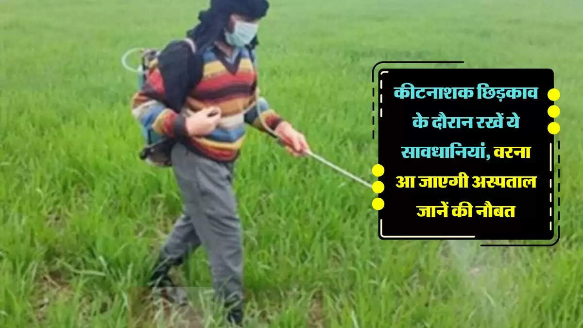 कीटनाशक छिड़काव के दौरान रखें ये सावधानियां, वरना आ जाएगी अस्पताल जानें की नौबत