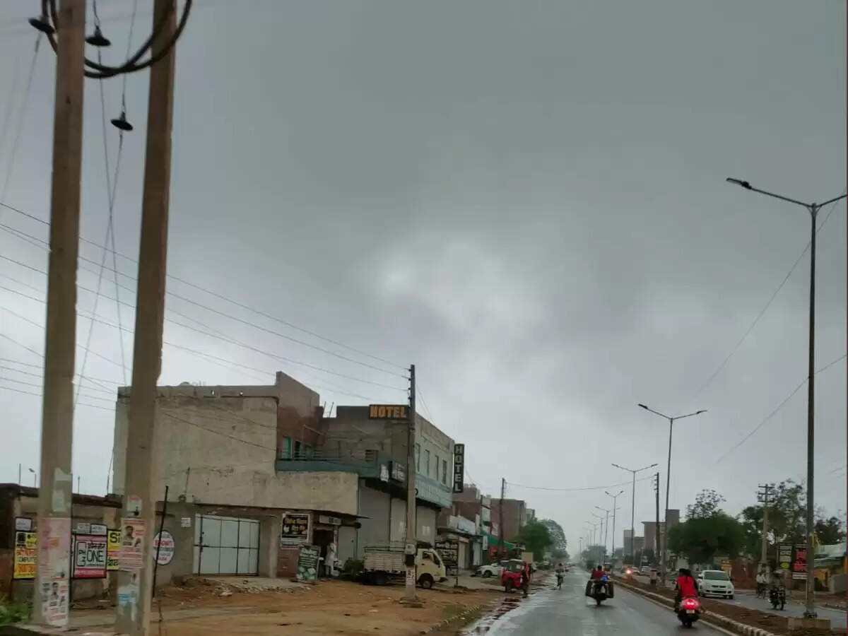 हरियाणा में मानसून पर लगा ब्रेक, 12 जुलाई से होगा एक्टिव, पढ़ें दैनिक मौसम अपडेट