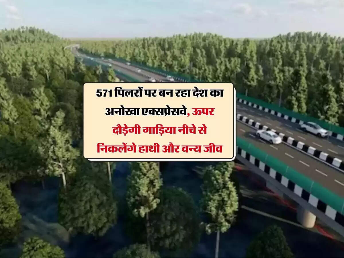 571 पिलरों पर बन रहा देश का अनोखा एक्सप्रेसवे, ऊपर दौड़ेगी गाड़िया नीचे से निकलेंगे हाथी और वन्य जीव