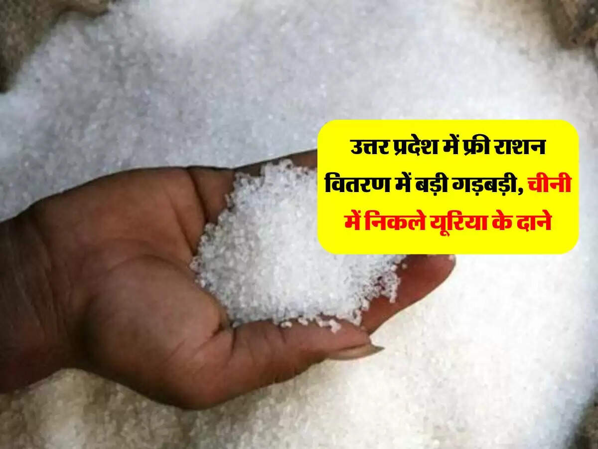 उत्तर प्रदेश में फ्री राशन वितरण में बड़ी गड़बड़ी, चीनी में निकले यूरिया के दाने