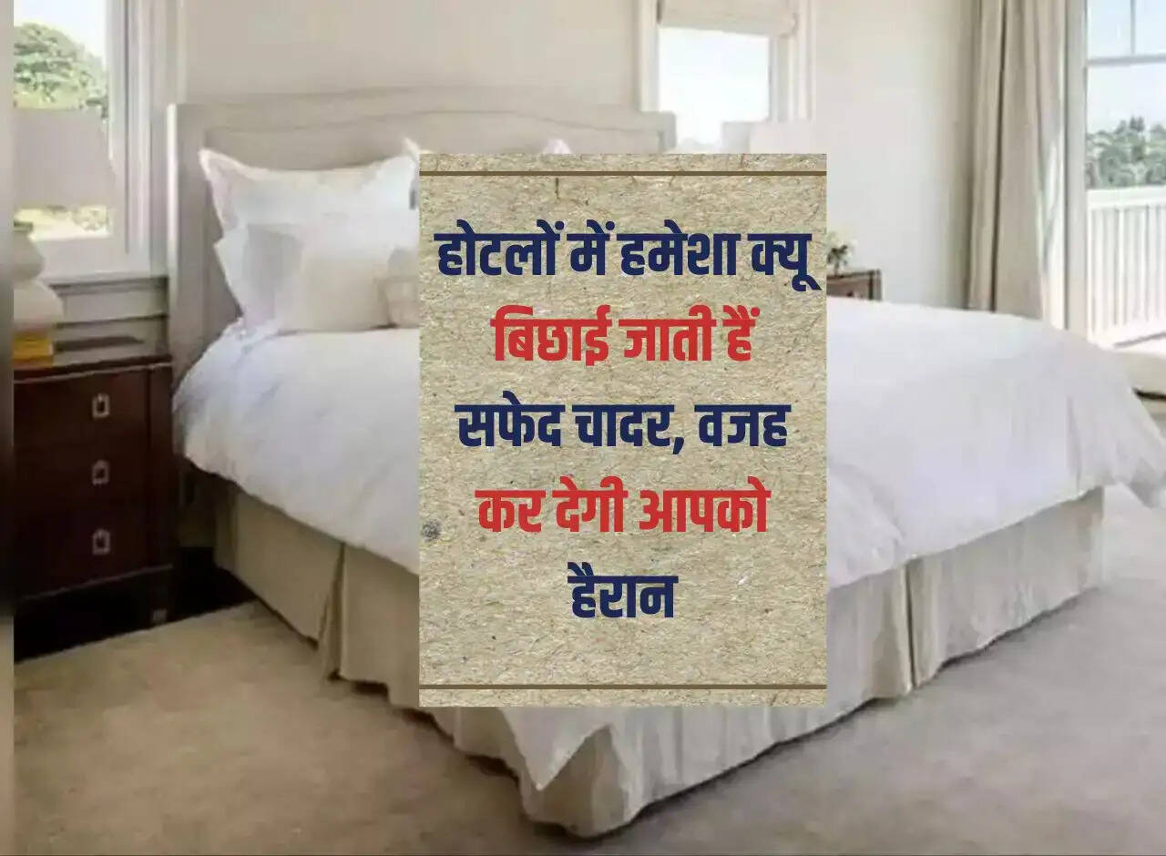 होटलों में हमेशा क्यू बिछाई जाती हैं सफेद चादर, वजह कर देगी आपको हैरान