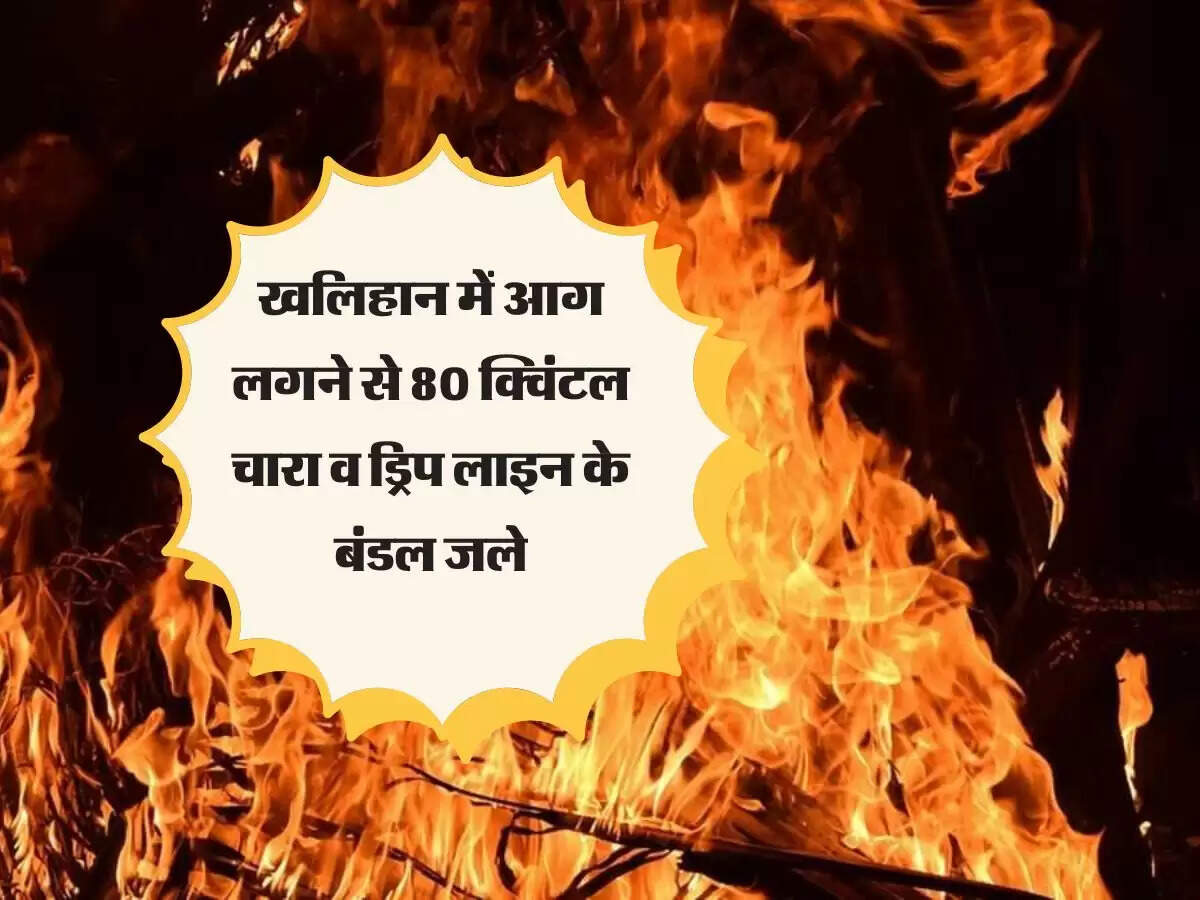 MP News: खलिहान में आग लगने से 80 क्विंटल चारा व ड्रिप लाइन के बंडल जले