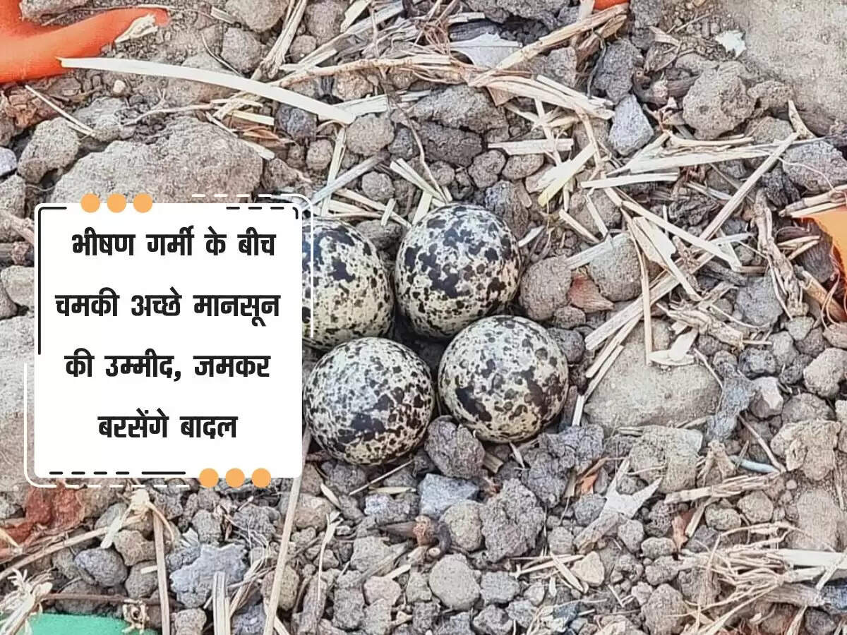 Rajasthan : भीषण गर्मी के बीच चमकी अच्छे मानसून की उम्मीद, जमकर बरसेंगे बादल