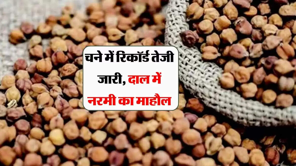 चने में रिकॉर्ड तेजी जारी, दाल में नरमी का माहौल