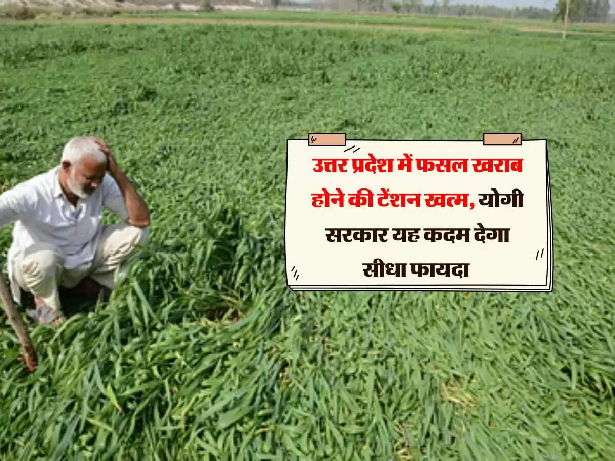 उत्तर प्रदेश में फसल खराब होने की टेंशन खत्म, योगी सरकार यह कदम देगा सीधा फायदा