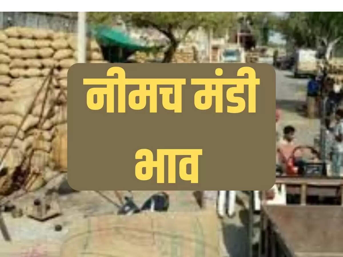 नीमच मंडी भाव