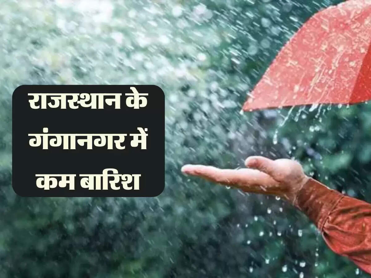 राजस्थान के गंगानगर में कम बारिश, कई जिलों में हुई अच्छी बरसात से ग्वार बिजाई ने पकड़ी रफ़्तार