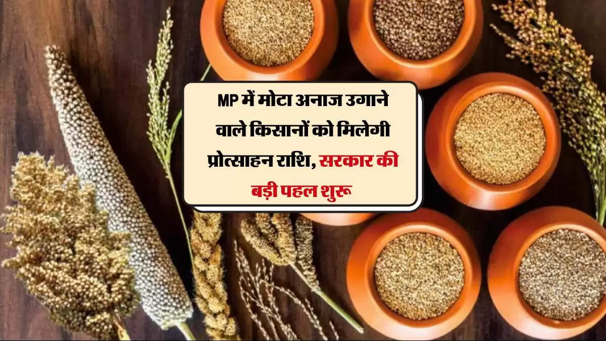 MP में मोटा अनाज उगाने वाले किसानों को मिलेगी प्रोत्साहन राशि, सरकार की बड़ी पहल शुरू