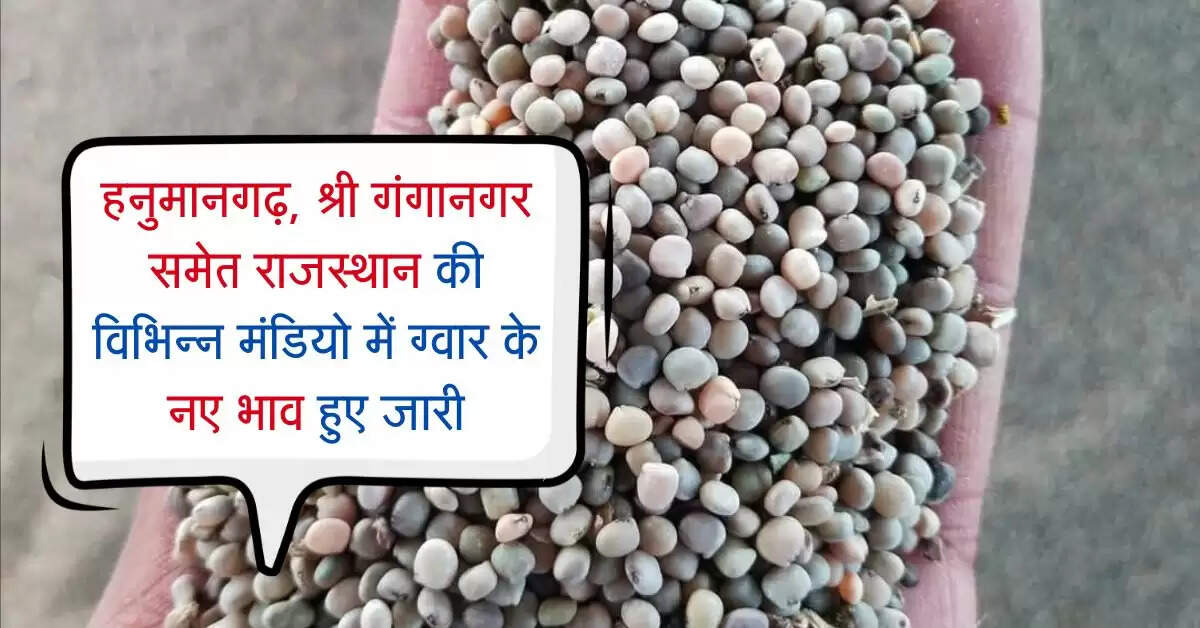 Gwar Ka bhav: हनुमानगढ़, श्री गंगानगर समेत राजस्थान की विभिन्न मंडियो में ग्वार के नए भाव हुए जारी
