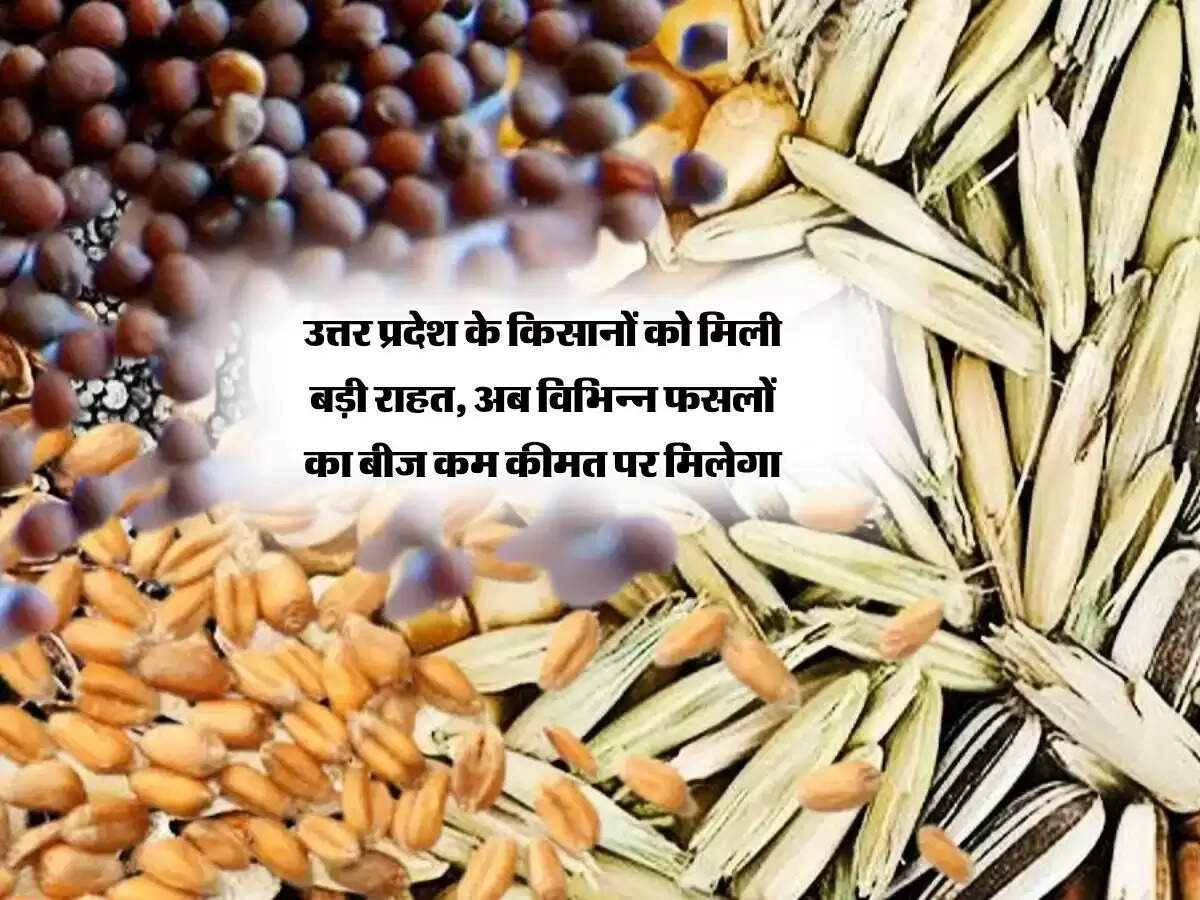 उत्तर प्रदेश के किसानों को मिली बड़ी खुशखबरी, अब विभिन्न फसलों का बीज कम कीमत पर मिलेगा