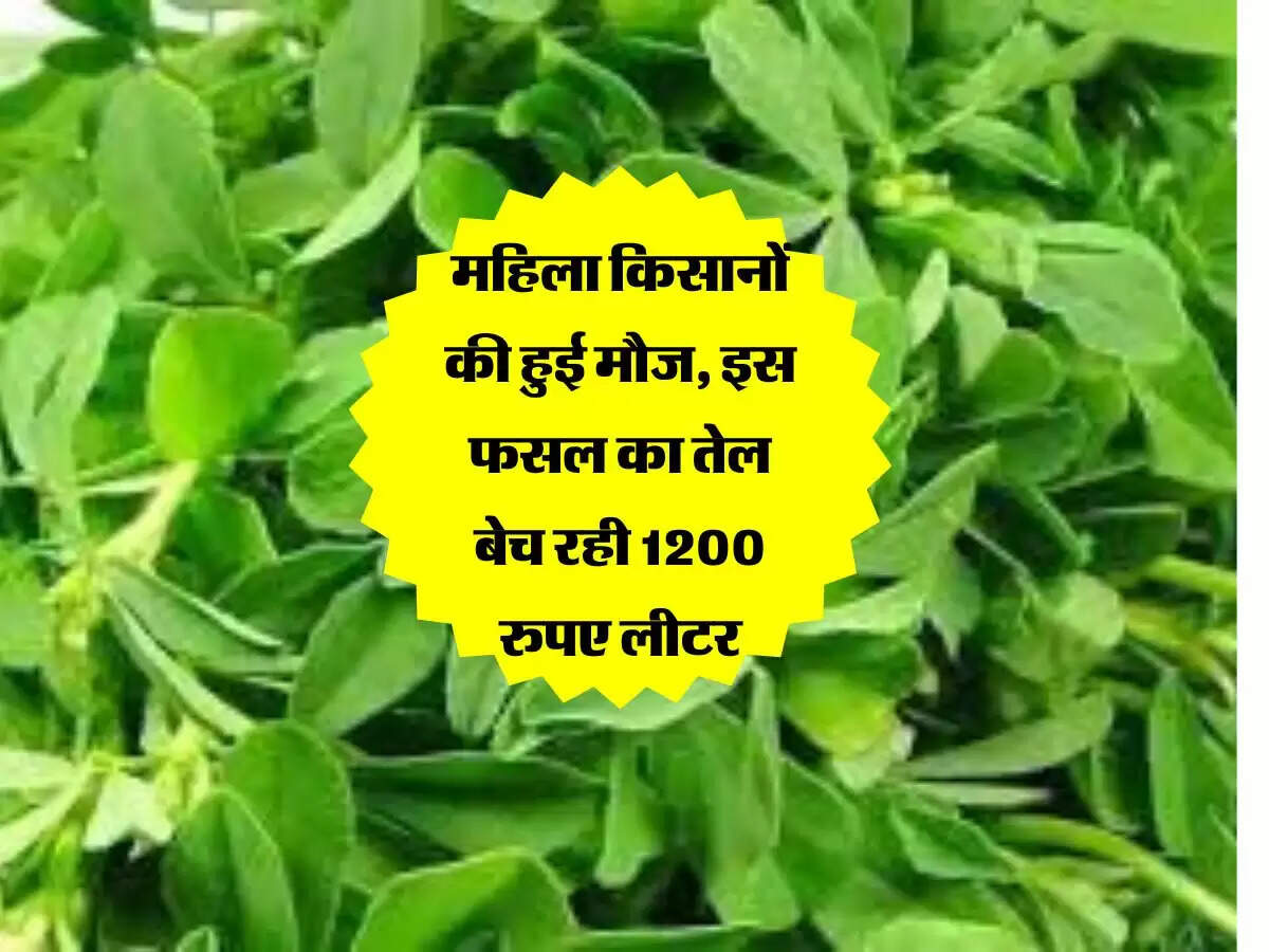 महिला किसानों की हुई मौज, इस फसल का तेल बेच रही 1200 रुपए लीटर