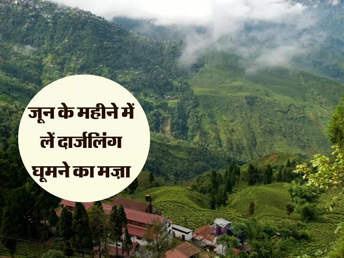 जून के महीने में लें दार्जलिंग घूमने का मज़ा, चाय के बागान देखकर मन होगा ख़ुश