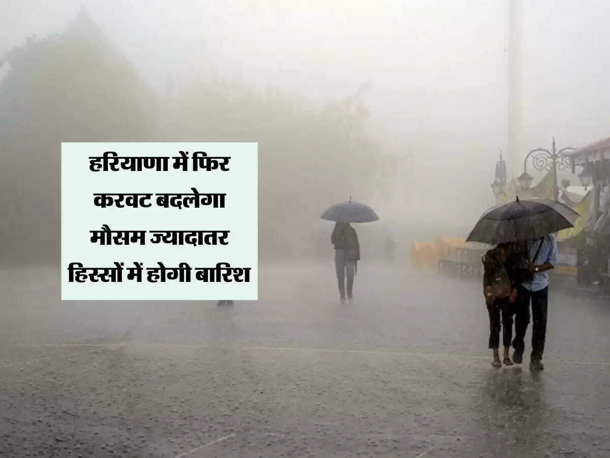 हरियाणा में फिर करवट बदलेगा मौसम ज्यादातर हिस्सों में होगी बारिश, इस दिन से आया नया अपडेट