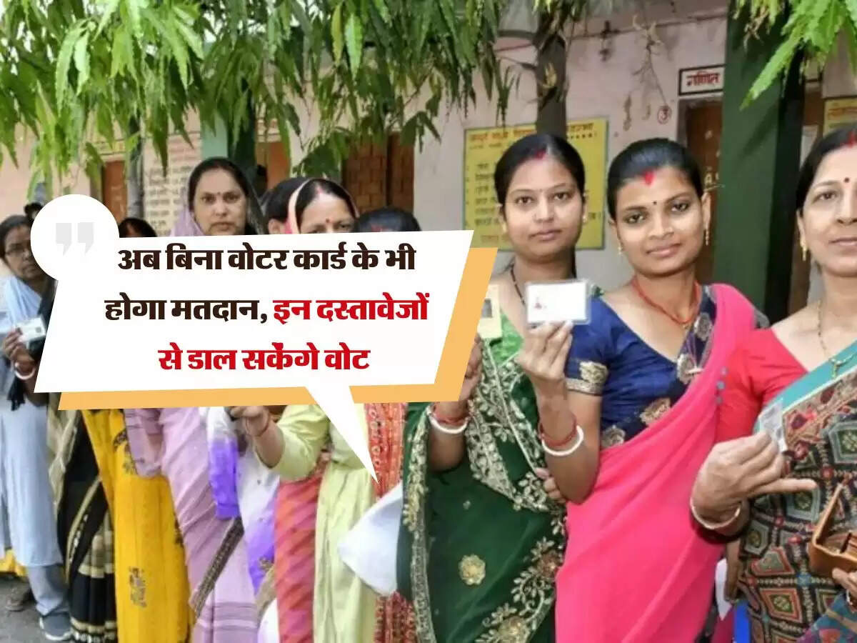 Haryana Lok Sabha Election: अब बिना वोटर कार्ड के भी होगा मतदान, इन दस्तावेजों से डाल सकेंगे वोट 