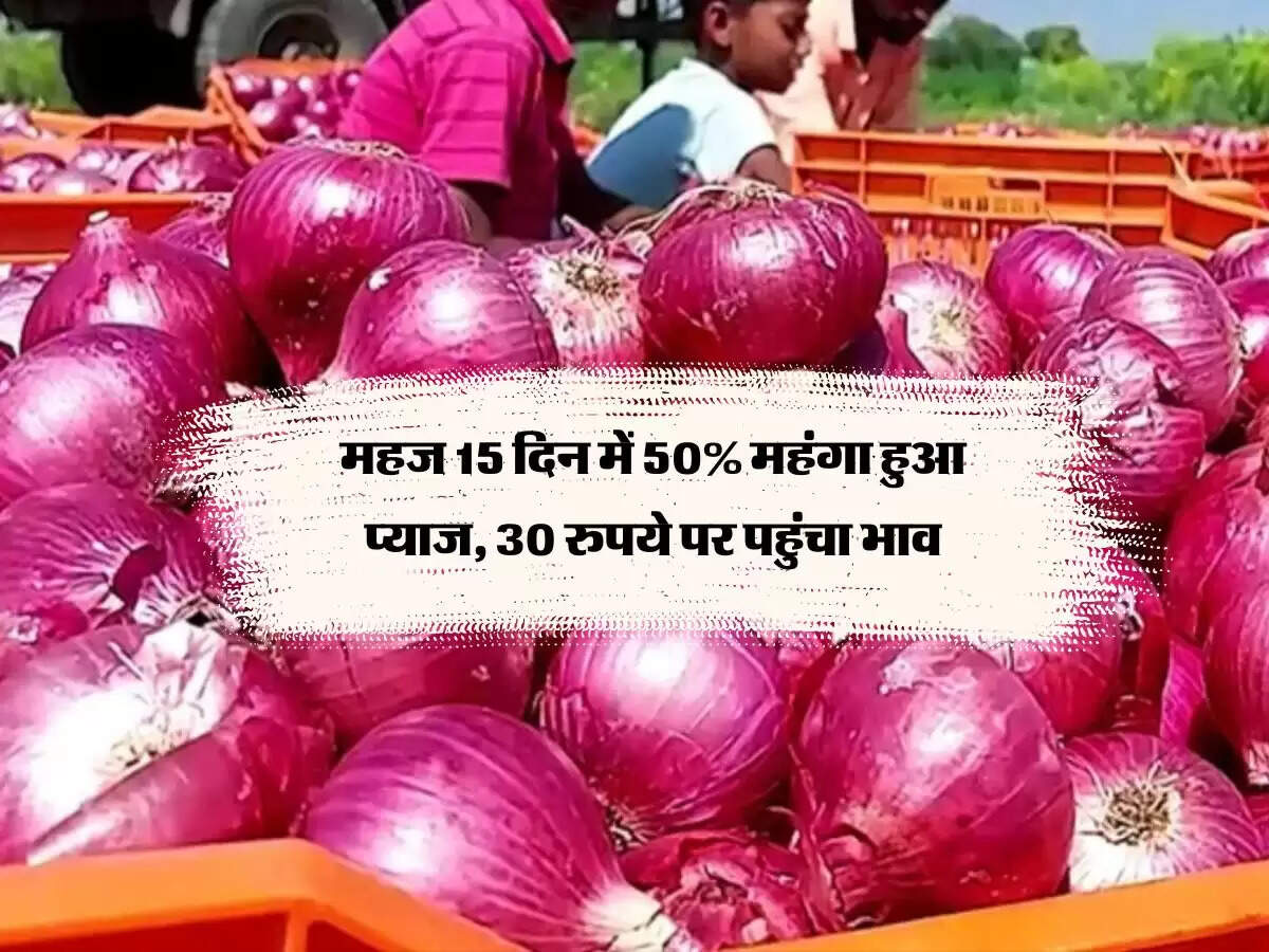 महज 15 दिन में 50% महंगा हुआ प्याज, 30 रुपये पर पहुंचा भाव