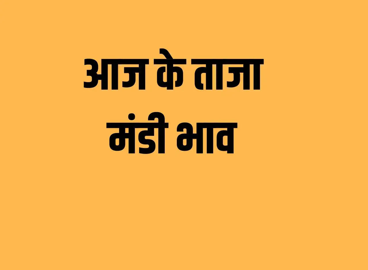 Mandi price 19 December 2023: Crop rates of Guar, Narma, Mustard, Moong, Moth, Sesame, Groundnut, Cotton etc.
