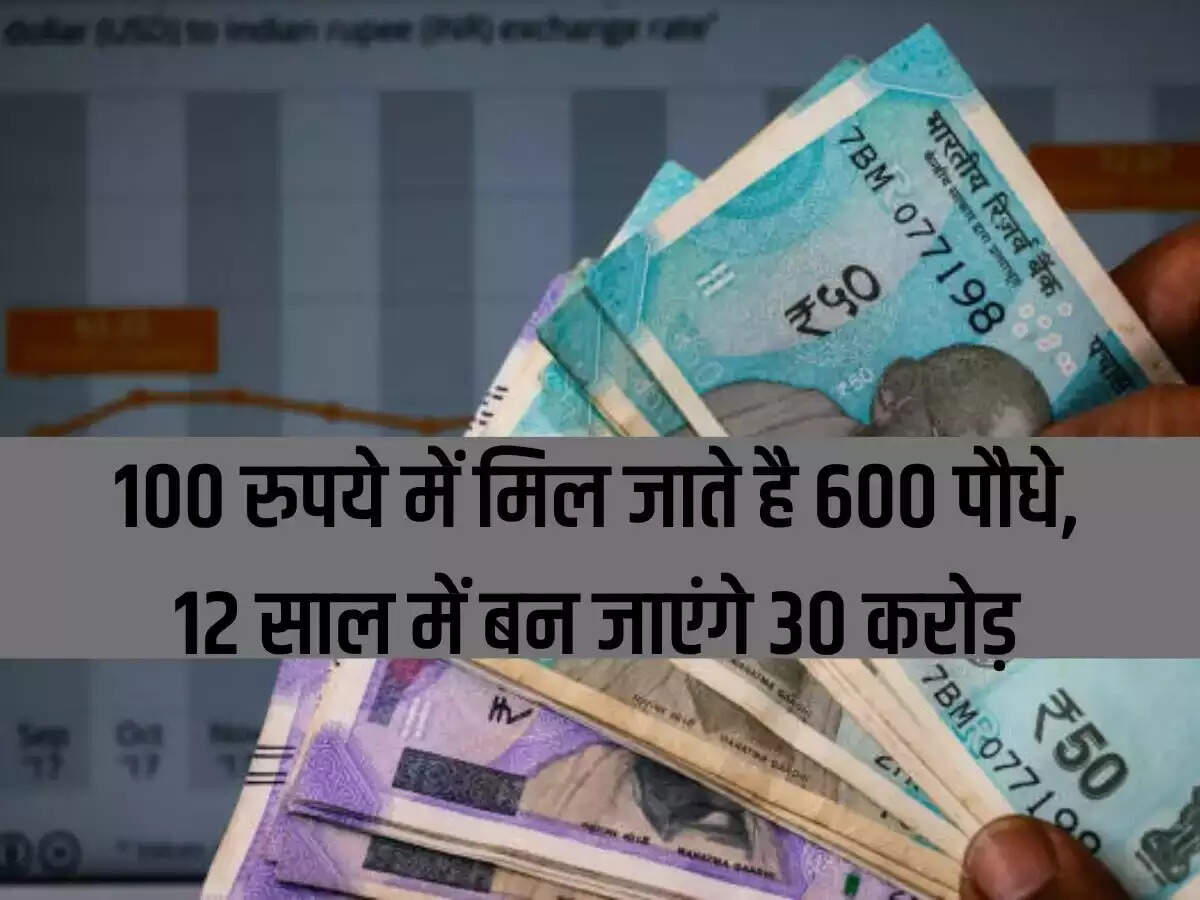 Business Idea - You can get 600 plants for Rs 100, you will become owner of Rs 30 crore in 12 years